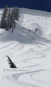 Tracks of a Switchback.  click to enlarge