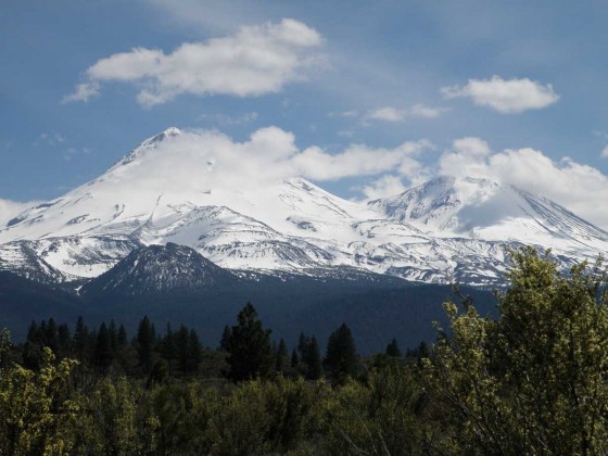 Mt. Shasta from the north