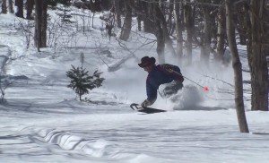 Burnt Mt Design shows off the performance of his latest tele dog