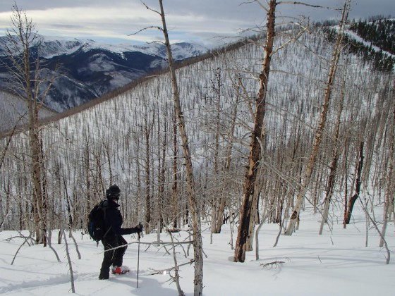 From a post by montuckykid.  Man, those trees are fried.