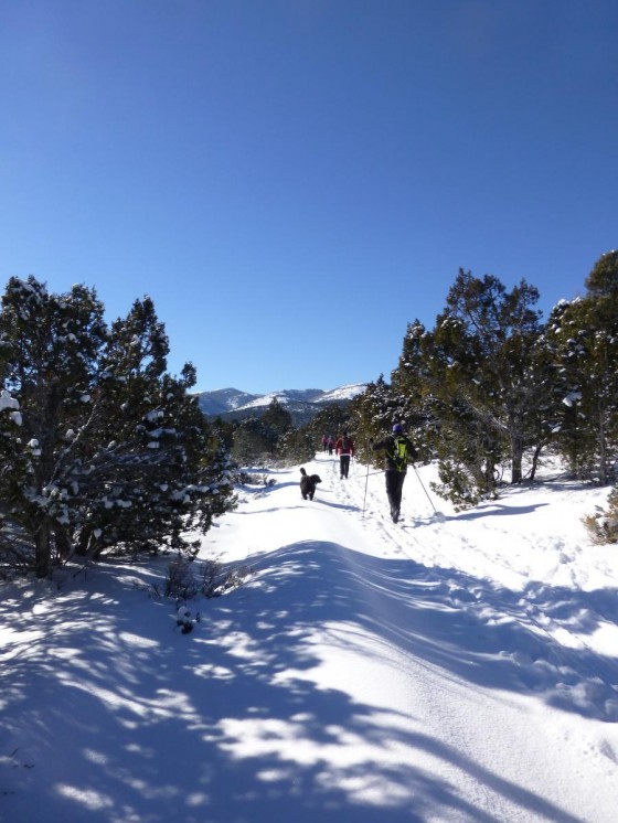 Nordic Touring near Eli, Nevada.