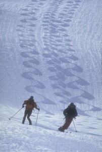 Sierra corn. Not as fluffy as pow, but equally delightful. Photo by John Dittli.