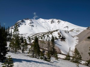 Mt. Lassen's north side from treeline. 