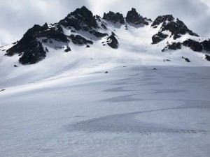 Tracks on velvet smooth corn snow.