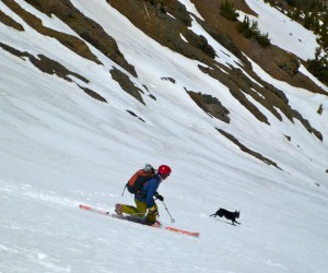 Mark and Jake, freshies from Sonora Pass. 