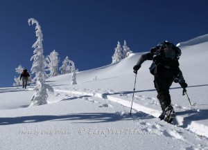 A classic Tahoe track. Not ridiculously steep, not low angle either.