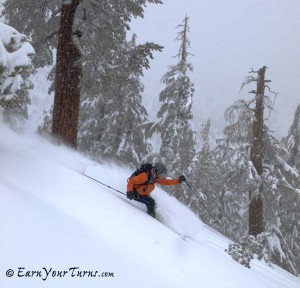 Polivy tracks Tahoe's untracked.