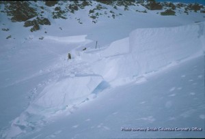 Looking the other way at the crown of the avalanche.