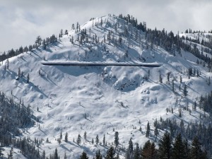 The full Lake Run is the north face of Tressel Peak.  1300' of ski heaven.