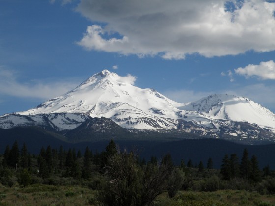 Mt. Shasta is always good this time of year (June). In 2015 it looked worse in April.  Photo by Jibmaster.